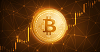 Cryptocurrency bitcoin exchange with trusted sources  Logo
